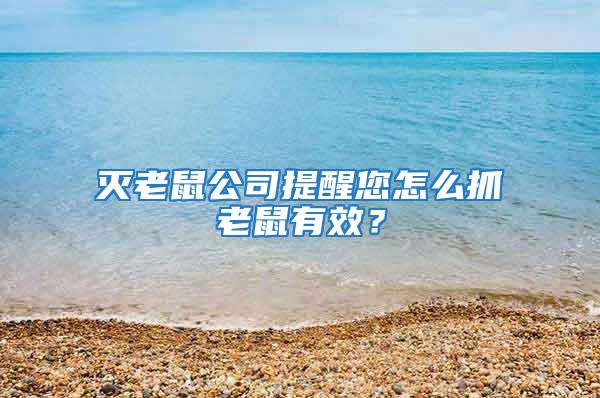 滅老鼠公司提醒您怎么抓老鼠有效？