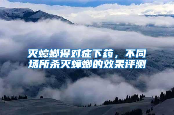 滅蟑螂得對癥下藥,不同場所殺滅蟑螂的效果評測