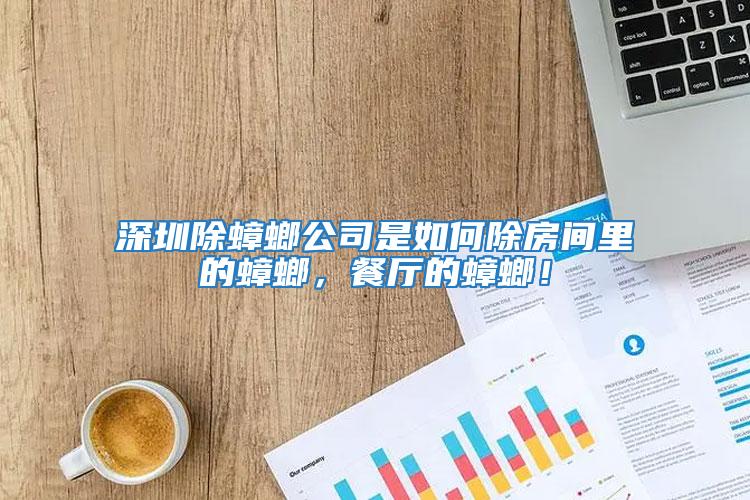 深圳除蟑螂公司是如何除房間里的蟑螂，餐廳的蟑螂！