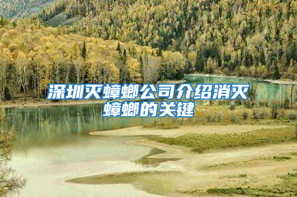 深圳滅蟑螂公司介紹消滅蟑螂的關(guān)鍵