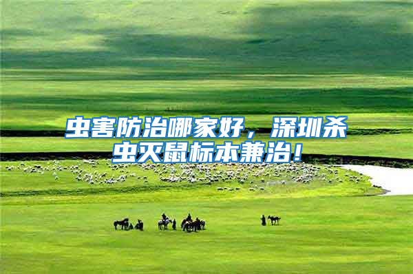 蟲害防治哪家好,深圳殺蟲滅鼠標本兼治!