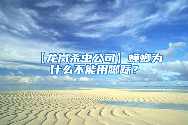 【龍崗殺蟲公司】蟑螂為什么不能用腳踩？